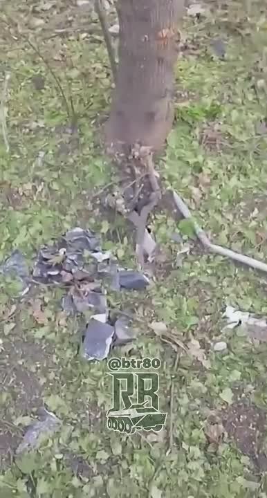 ��������� ������� ������ ����� ��� ������ ������ ���� �� ���������� ����������� �� ��������� ����