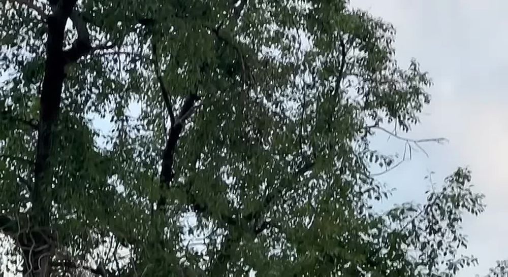 ����� �������: ����� ��� ������� ������� � 5 ���� � �����������