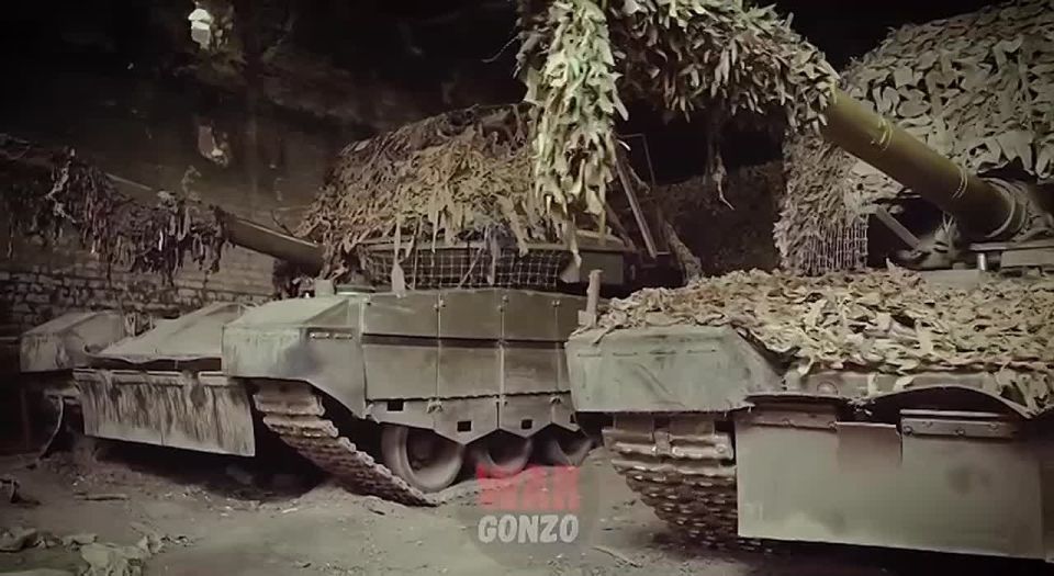 WarGonzo: ����������� ���� ������� ������ ��������� ������ ���
