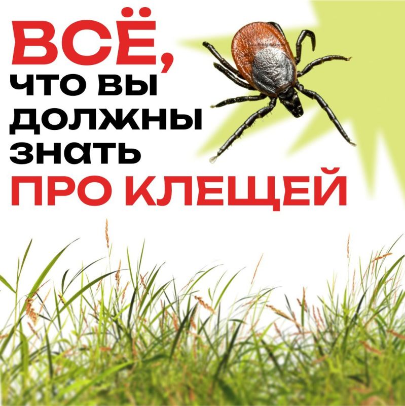 ����� � ��� ������� �������������, ������� ����� ���������� ��������� �����������