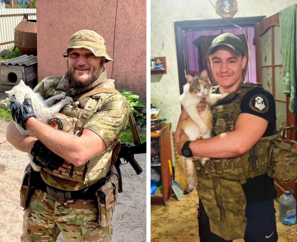 Преемственность поколений орков: