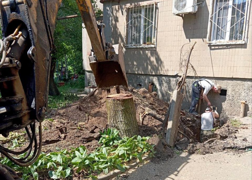 ���� ������: ������ ���� ����������� ����������� �������� ������������� ������ ����������� � �������������� ��������: �� ������������ ���������� ������ �� ��������������� ������