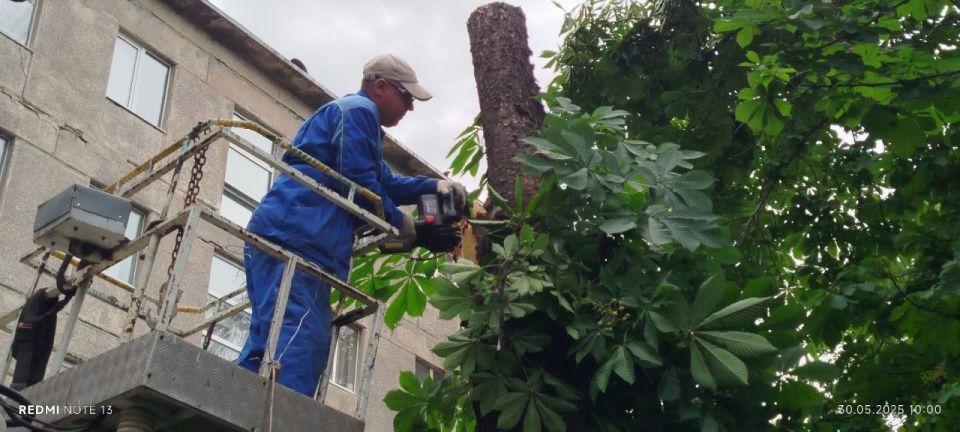 ������ ��������: �� ���������� ���������� ������ ���������� ������ �������������� ����������� ������������� ������� ������ �� ���������� ������� ��������� �������� �� ���������� �����������