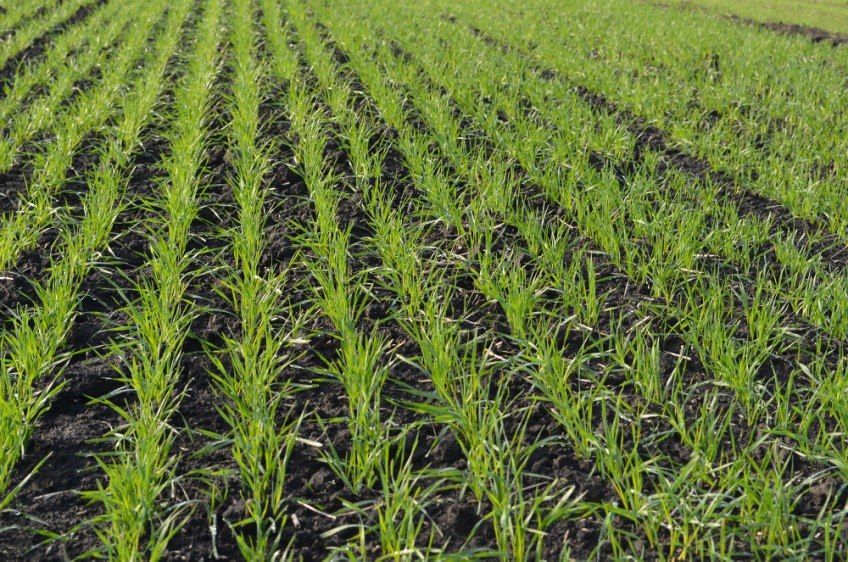 � ��� ����� 90% ������ ��������� � ������� � ������������������ ��������� � �������� �� �������� ��������