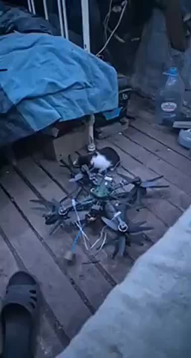 ������ ����� �� �������� � ����