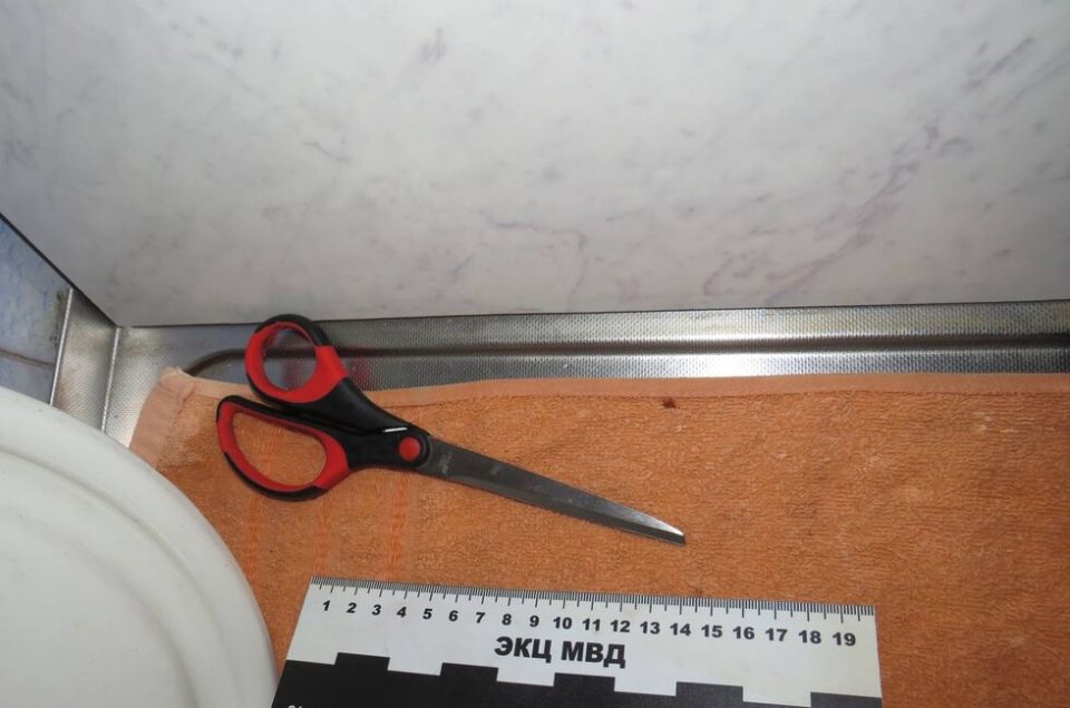 Ударила в пах и лгала. В Донецке женщина напала на сожителя и была задержана