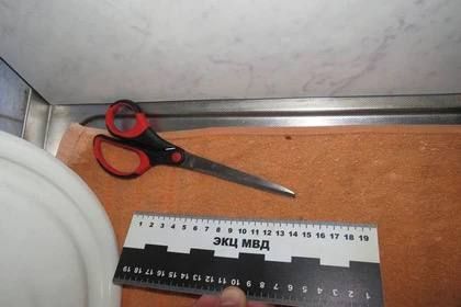 В Пролетарском районе Донецка женщина нанесла своему сожителю ранения ножницами
