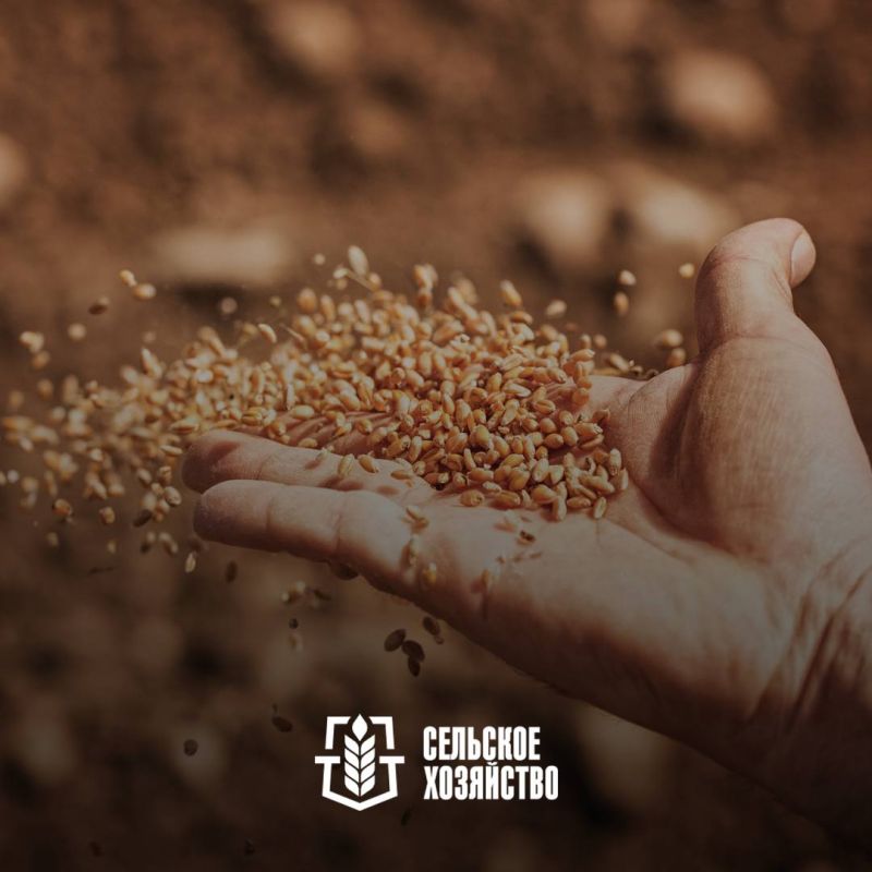 ����� ����������: ��������� �������!. ���������� ��� � ������ ������ �� ��������� �������� ��������������������� ��������������������� �������� �������� ����������