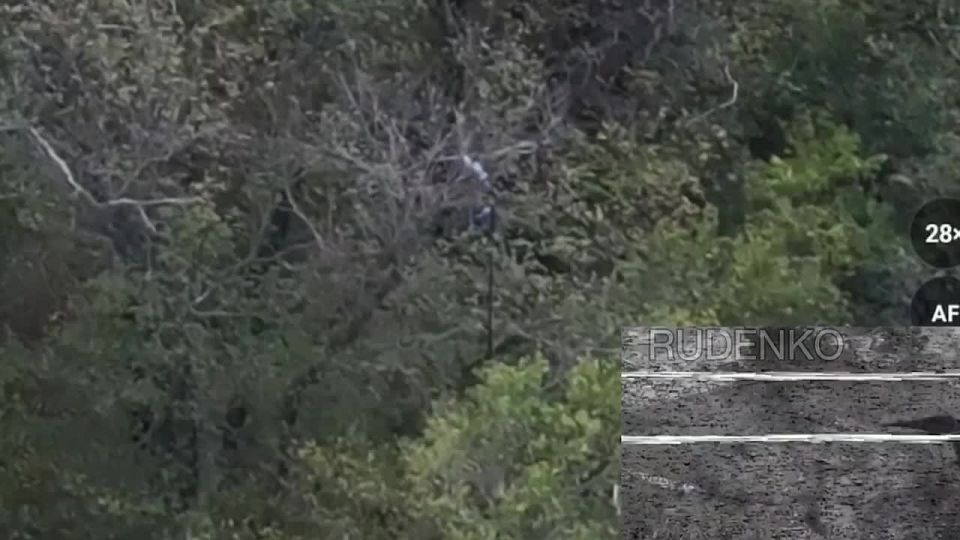 ������ �������: �� ����-�������� ����������� ��������� FPV-������ ����������� ������� ������� ����� �� ������� ���������� � ����� ��� � ������ ���������