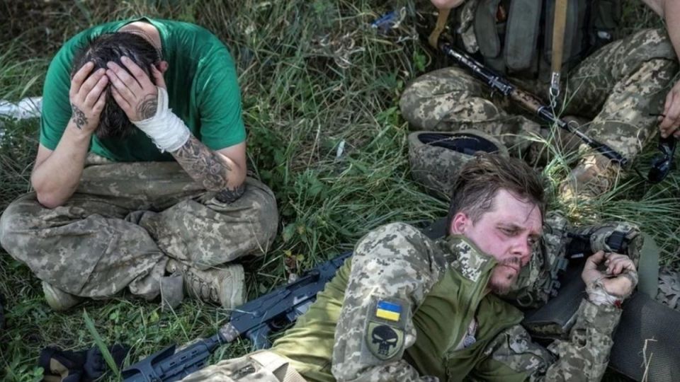 ТАСС: ВСУ в Троицком бросали раненых сослуживцев умирать на поле боя