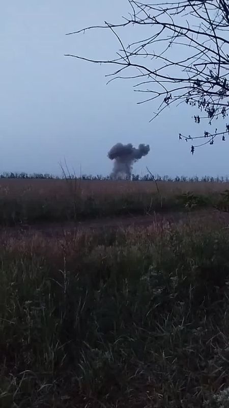 ������ �������: ����-�������� �����������. "���������" ������