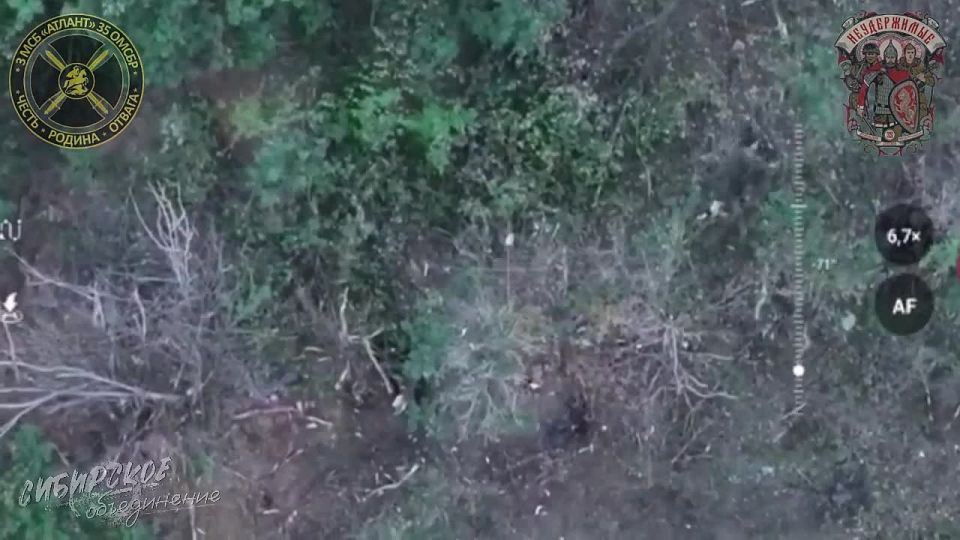 ����� ������� ������������ ���������� ����������� � ���� �������������� �������� �������� �������� ������� 72-� ���� ���