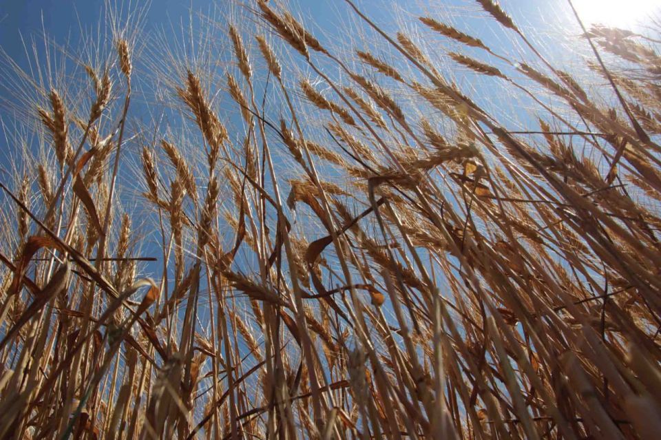 ��������� ����� �� ��������� �������� ��������������������� ��������������������� �������� �������� ����������