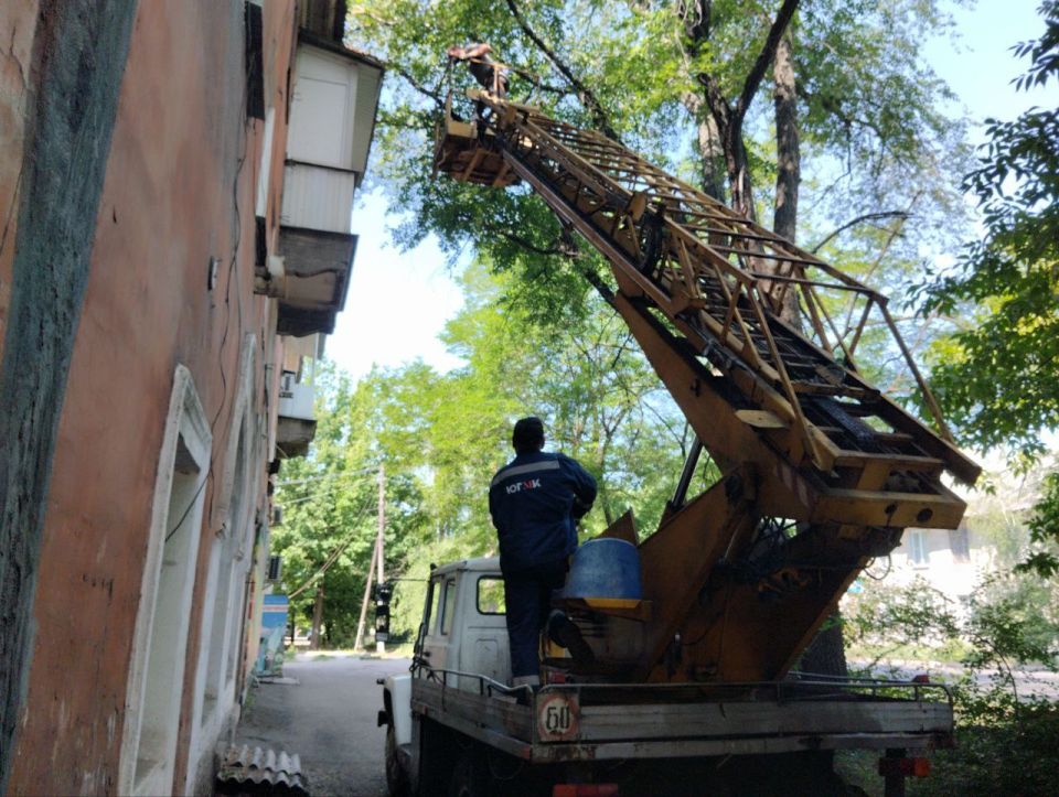 В Кировском внутригородском районе проведены работы обрезке деревьев
