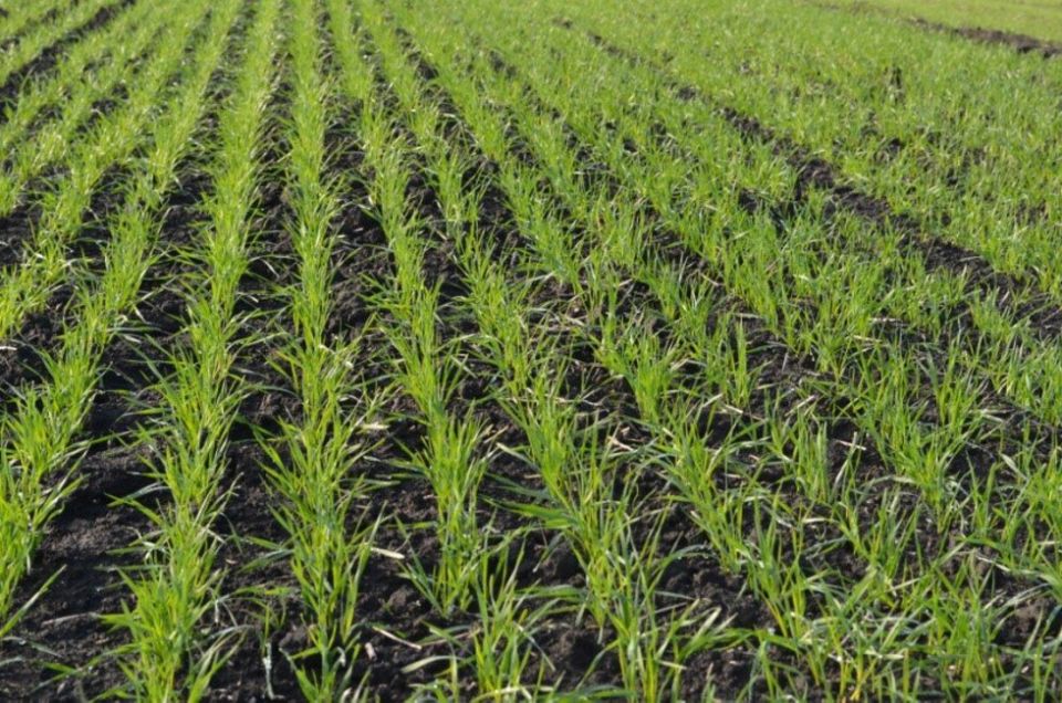 �������� �� ��������: ������� ����� ������ � ��� � ������� ���������