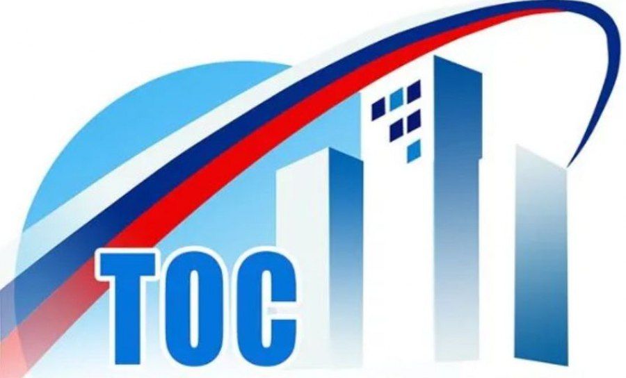 Василий Овчаров: Объединимся ради лучшего будущего нашего муниципалитета! Создадим ТОСы!