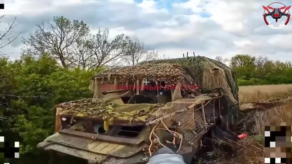 Освобождение Редкодуба: ход боевых действий