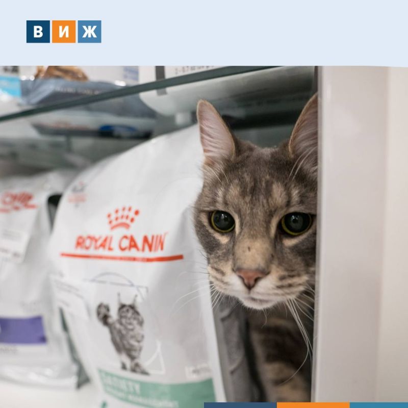 Правительство изменило правила маркировки кормов для животных