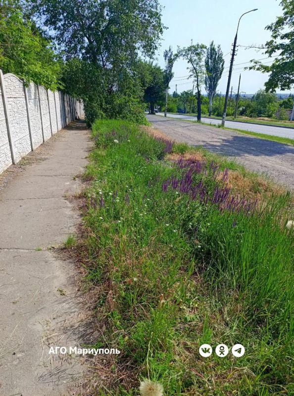 Мариупольские коммунальщики привели в порядок очередное ритуальное место