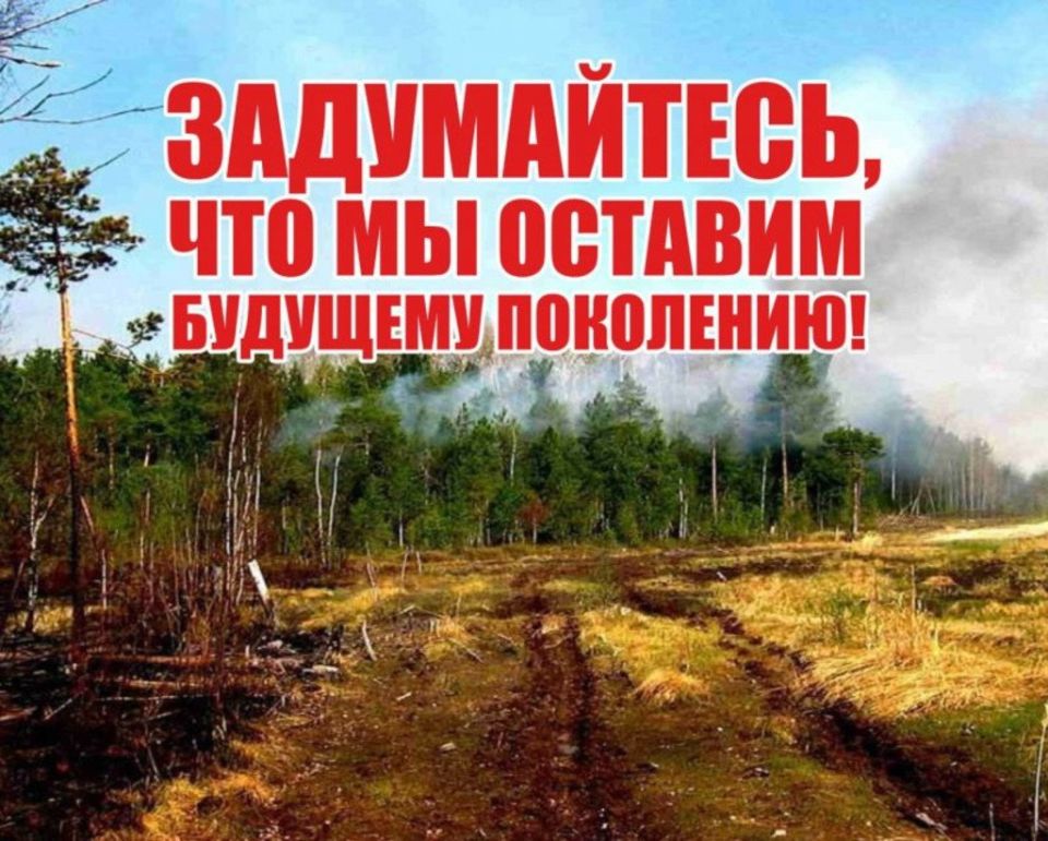 Наталья Бегуненко: Уважаемые граждане и владельцы земельных участков