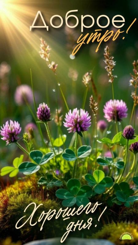 #доброе_утро