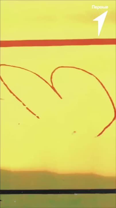 Фестиваль глазами активистов