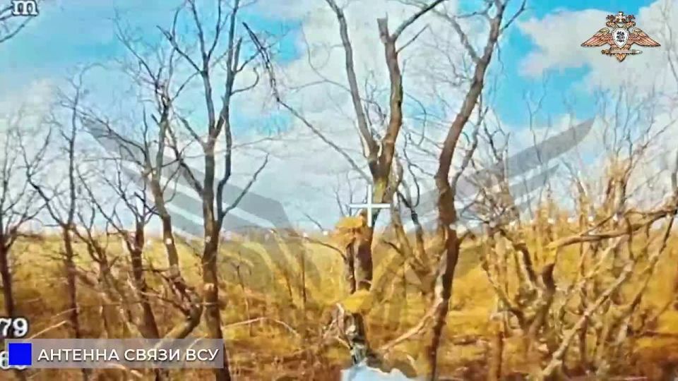 FPV-����� 8 ����� ���������� ������� ����� ����������