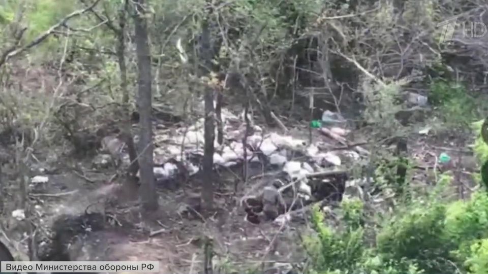 ���������� ������ ����������� ����� �� ������� �������� ���������� ��������