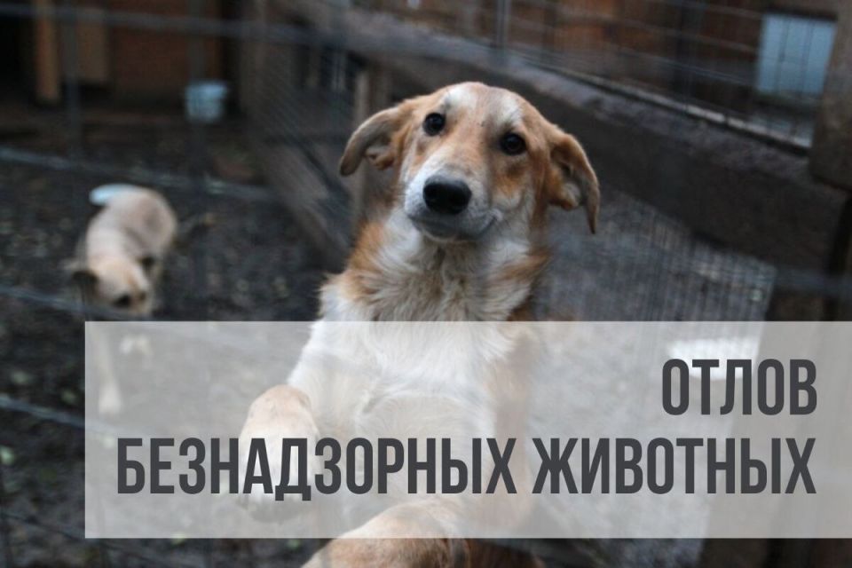 � ��������� � ���� ��������� ������������� �������������� ������ ������� ������ �� ������ ��������� ��������, � ���� ������� ���� ������� 18 �����