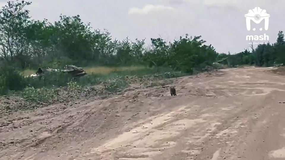 Познакомьтесь с самой отважной жительницей Марьинки