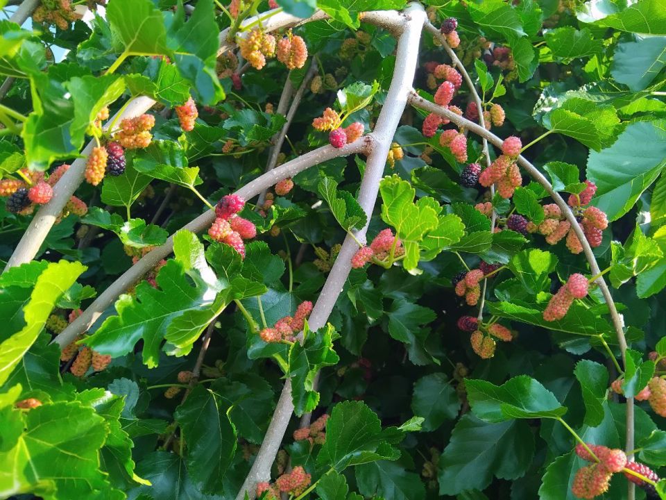 ������ ������: ������ ���������, ��� ������� ���������� ��������� � ���� ����!