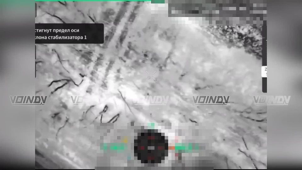 ��������� ���� 29 ����������� ������������� ����� ����������� "������" ���������� ������� ����� ���������� �� ���������� �����������