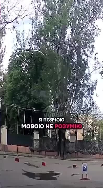 � ������ ��������� ��������� ������� �� �������� �����