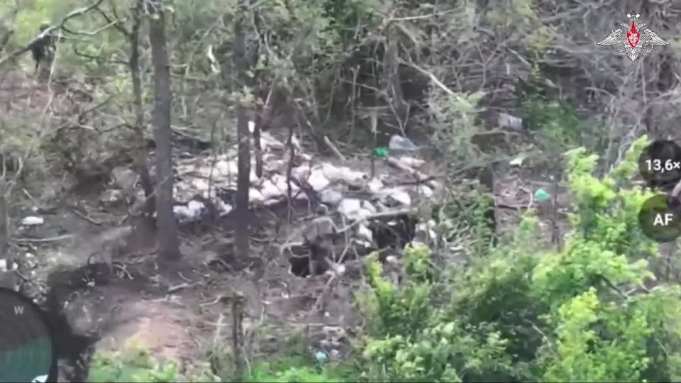 ���������� ������: � ��� ������������� ���� 20-� ����� ���������� ������� ����� ���������� � �����������
