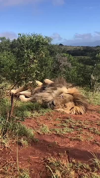 ��������� ����, ���������!