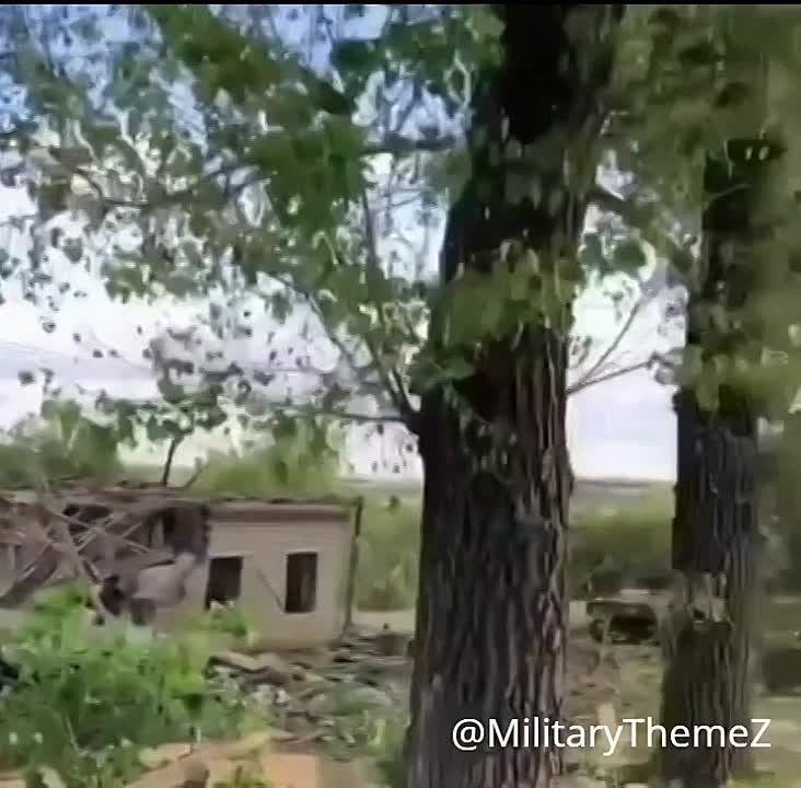 ��������. ���������� ������ ������������� ����������� ������� �� ������ ���