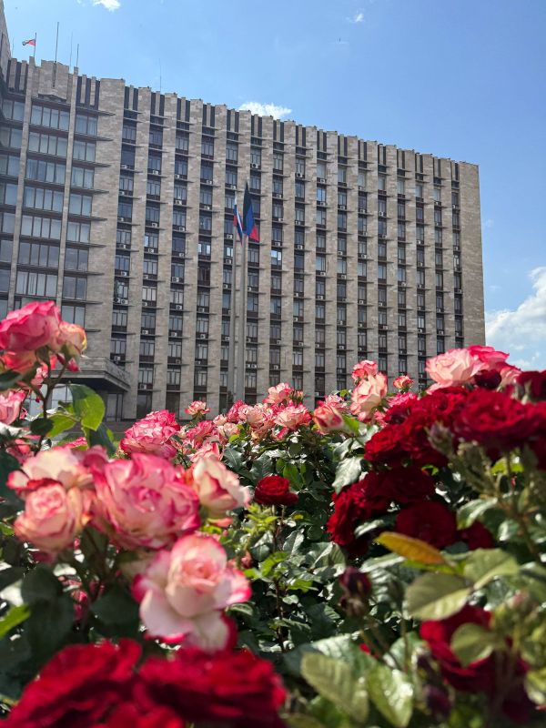 ����� ����������: ���� �������� ������ � �������� �������� ����!