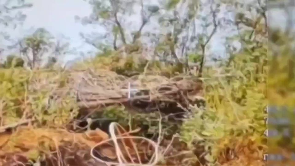 ������� ���������: �������������� ������������� ����, ��� ���� FPV ������ ������� ��� � ������ ���������