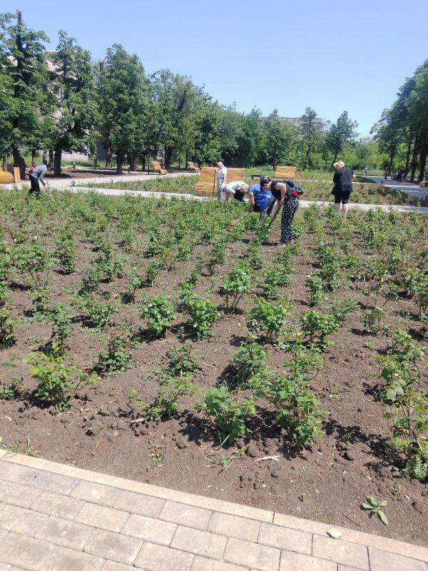 ������ ��������: �� ���������� ���������� ������ ���������� � ������ ������������� ������������� ����� �������� ������� ��� ��� ����������� � �������� �������������� ���������