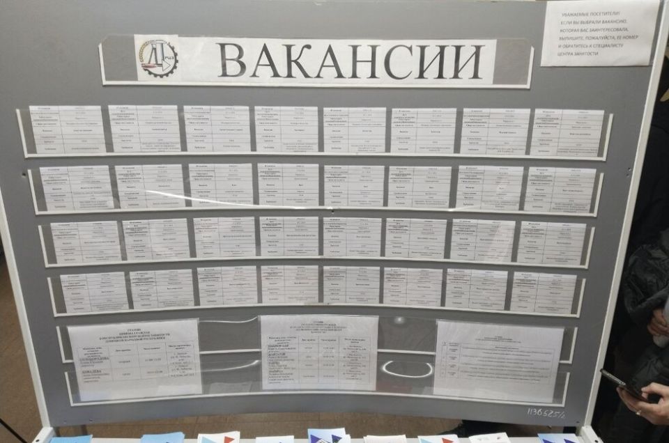 Индивидуальный план: Толстыкина сообщила о нововведениях в сфере занятости в ДНР
