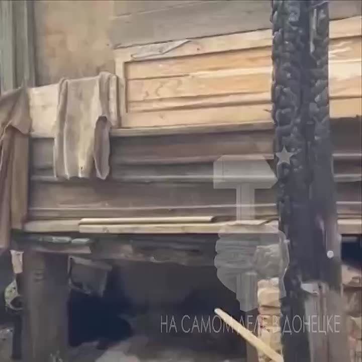 Жители Снежного стреляли в собачницу и избили ее больную дочь после того, как их питомец укусил соседку