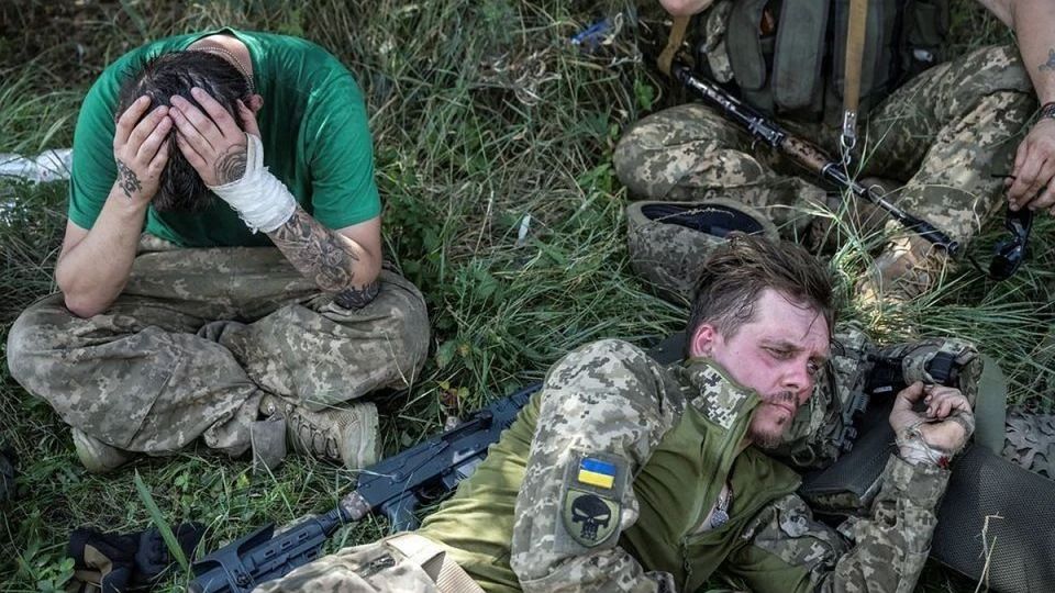 Украинские боевики психанули, когда их сослуживцы сдались в плен: приказали расстрелять, но и тут отказ