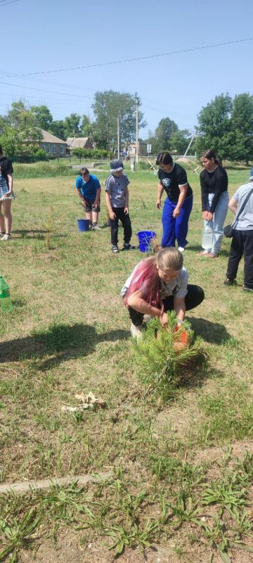 ВСЕРОССИЙСКАЯ ЭКОЛОГИЧЕСКАЯ АКЦИЯ "МАРАФОН ЗЕЛЕНЫХ ДЕЛ"