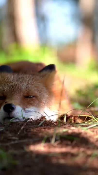 Спокойной ночи, Мариуполь!