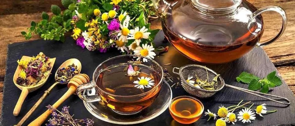 Зеленая аптека - путь к здоровью