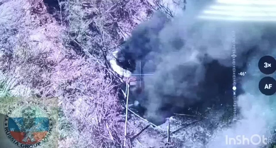 Уничтожение FPV-дронами очередной вражеской 2С1 «Гвоздика» на Южно-Донецком направлении