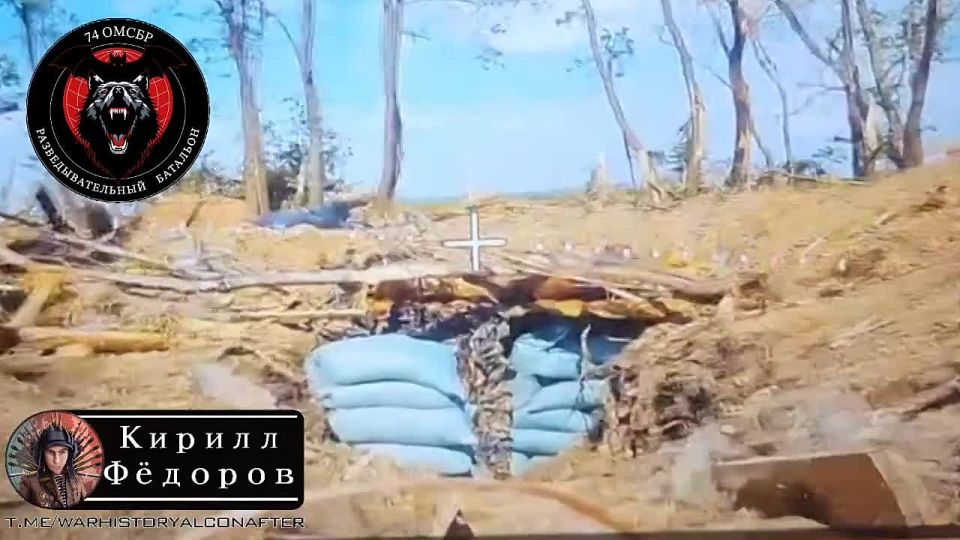 Бешеные псы уничтожают украинских оккупантов на Покровском направлении