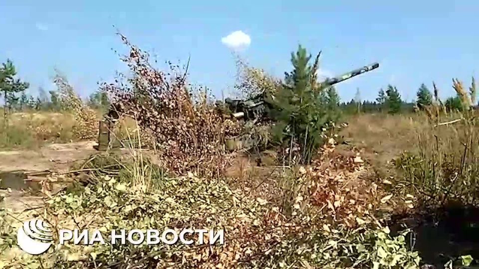 Российские войска в ходе освобождения населенного пункта Заря в ДНР уничтожили более 10 пунктов управления БПЛА известного украинского подразделения "Птицы Мадьяра"