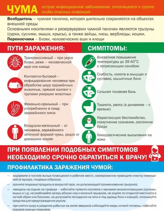 Как предупредить заболевание чумой ?