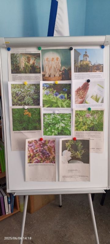 8 июня Валерьяновская библиотека совместно с Валерьяновским музеем истории села Валерьяновка провели Троицкие гуляния " Троица пришла, лето за собой привела"